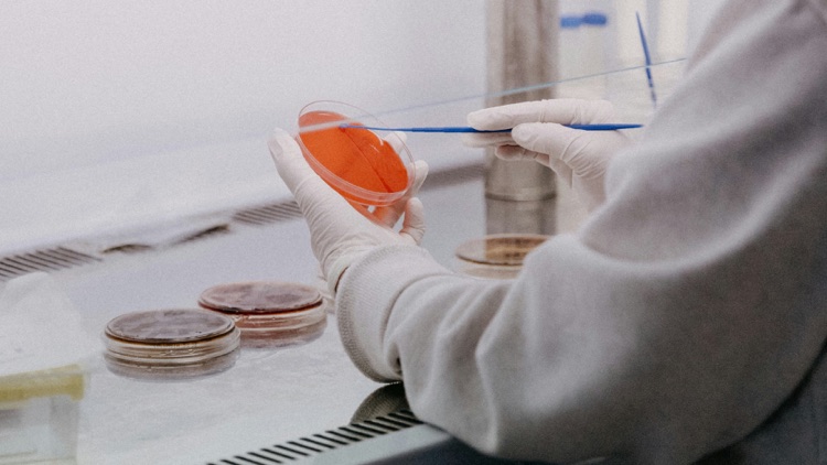 Bulk Citicoline Powder: A B2B Sourcing Checklist for Ingredient Buyers